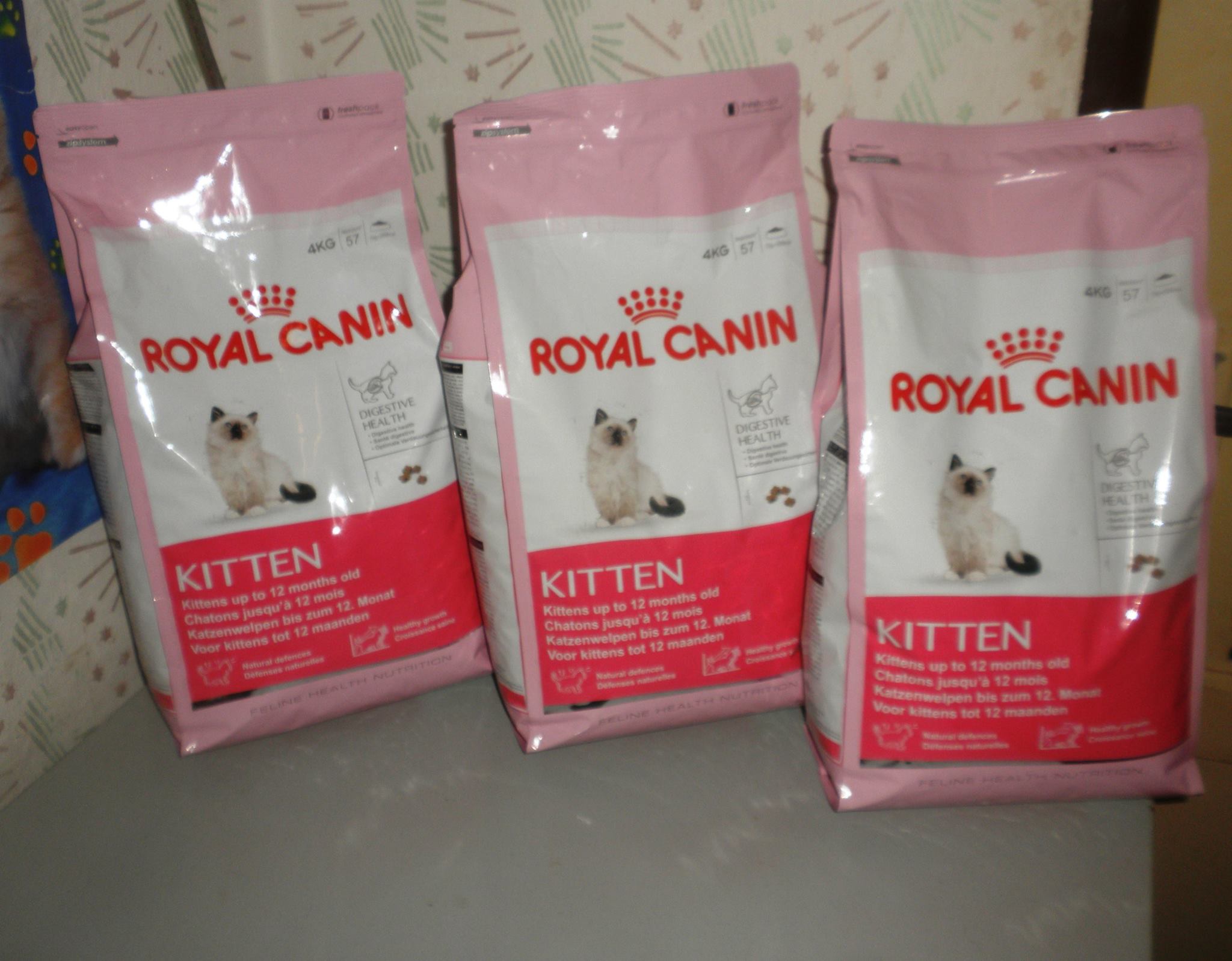 4 kg balení Royal Canin kitten mají jako dárek tři kočičky , zakoupeno tedy samozřejmě třikrát.