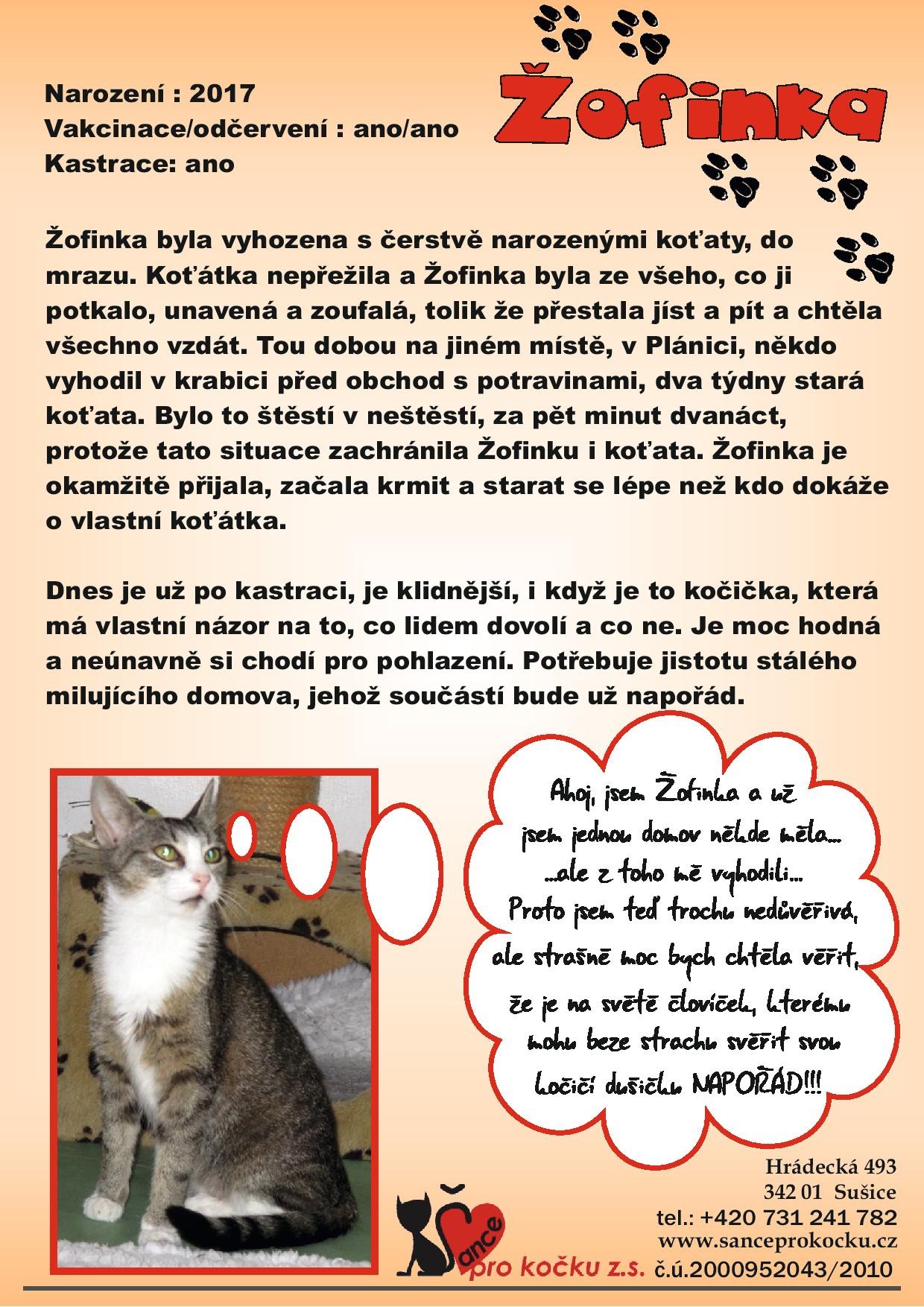 zofinka-page-001.jpg