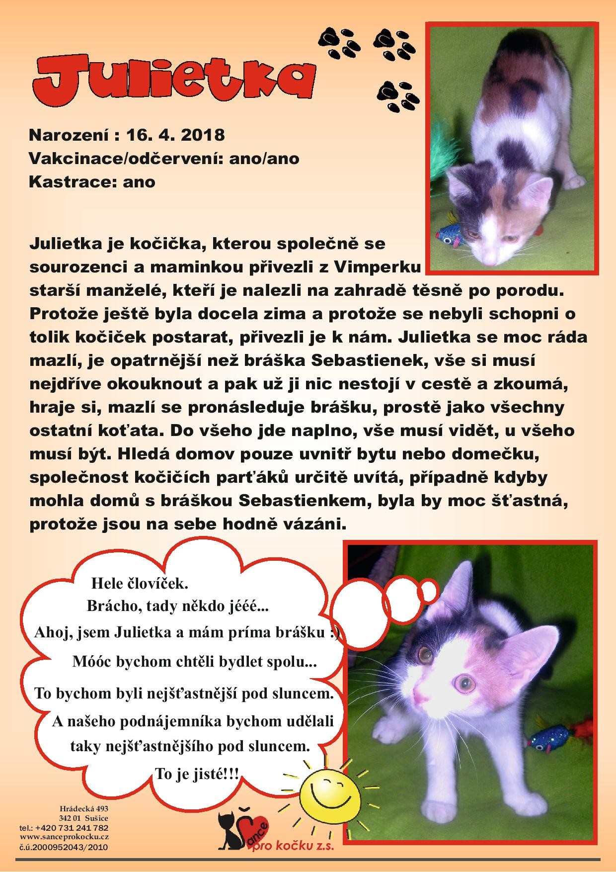 jullietka1-page-001.jpg