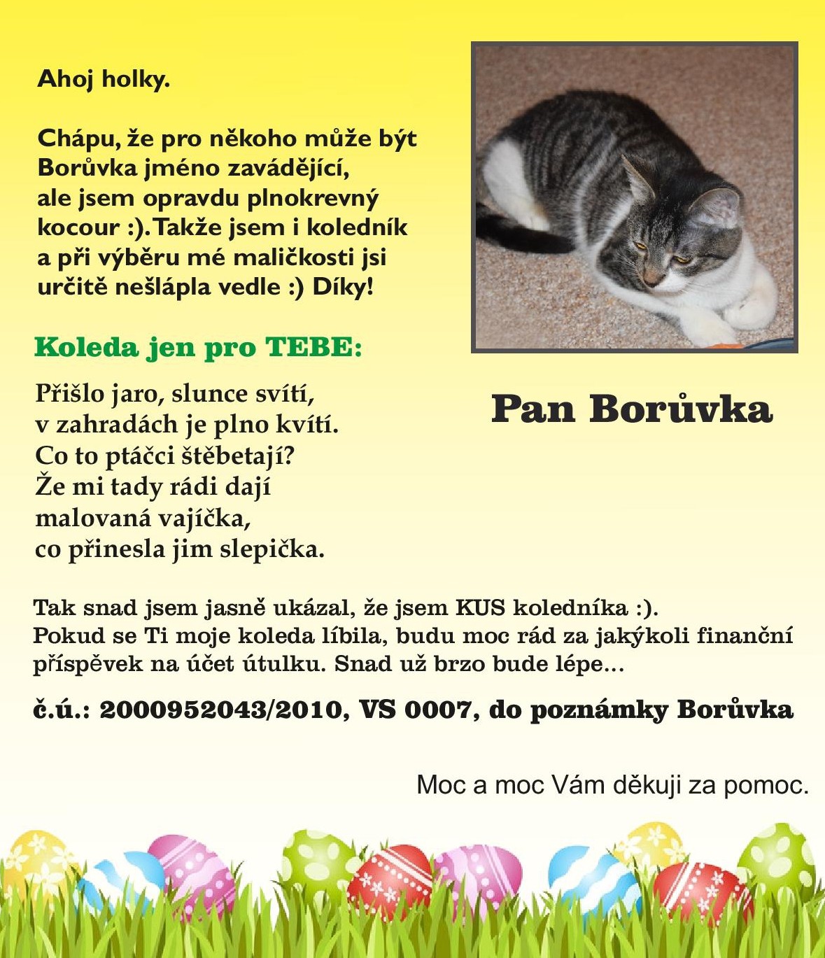 boruvka-page-001--1-.jpg