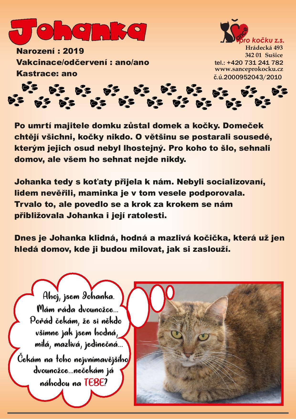 johanka-page-001.jpg