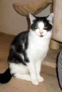 patricie1.jpg