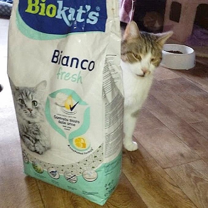 f31f8338802fe795cbbbc4a040c8d0bf.jpg