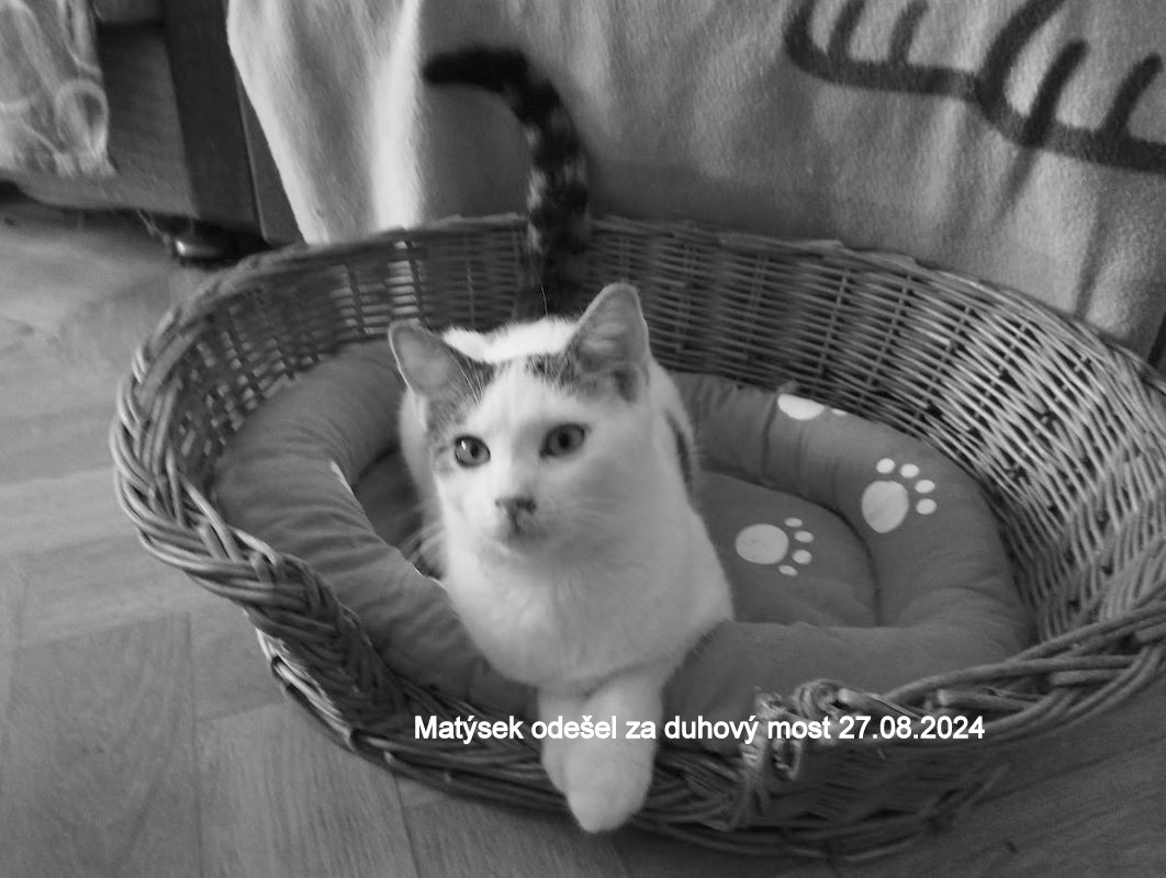 0003.jpg