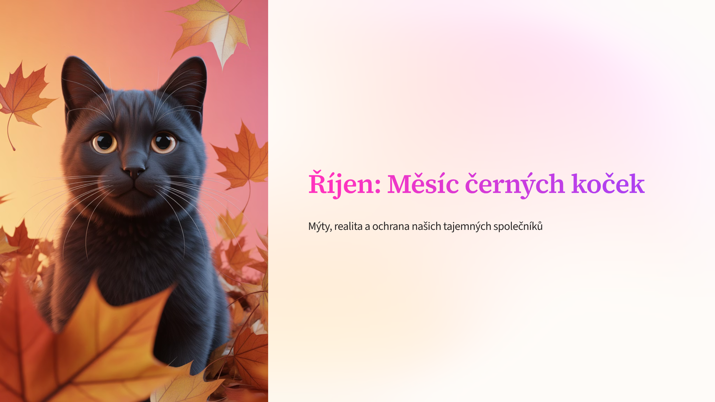 1_rijen-mesic-cernych-kocek.png