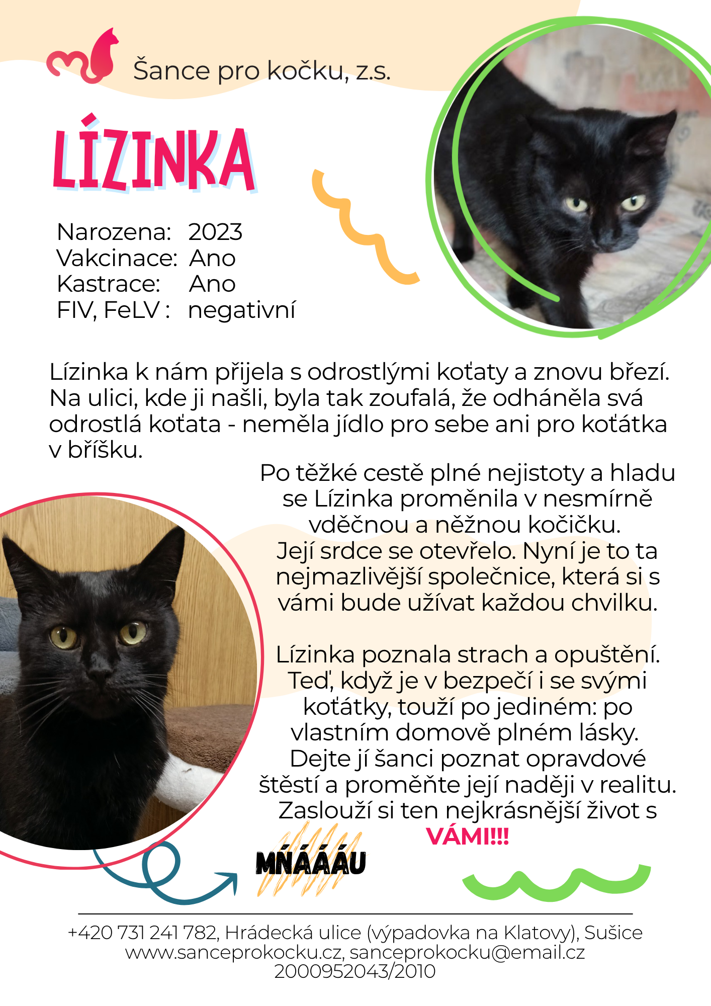 lizinka.png