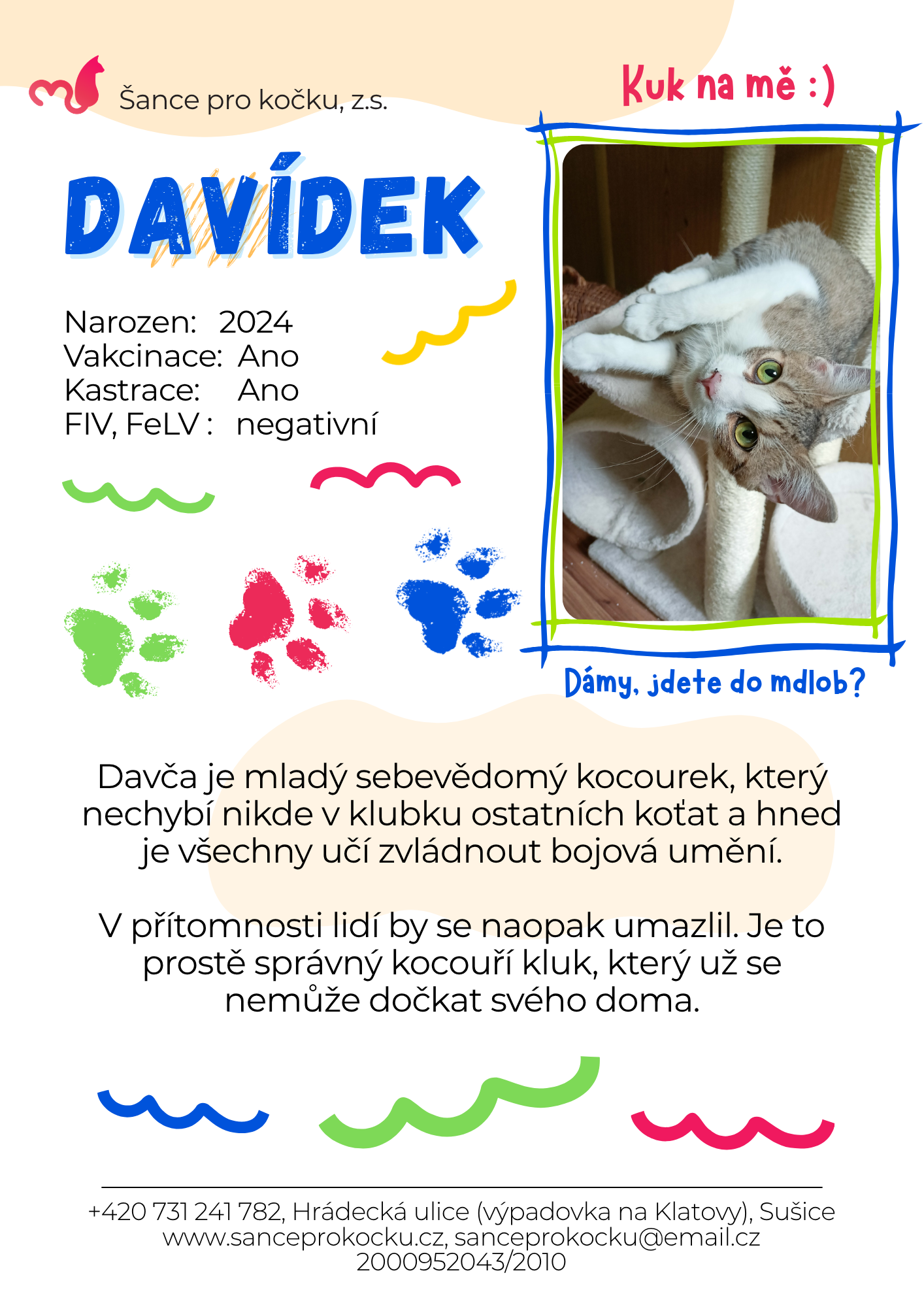 davca.png