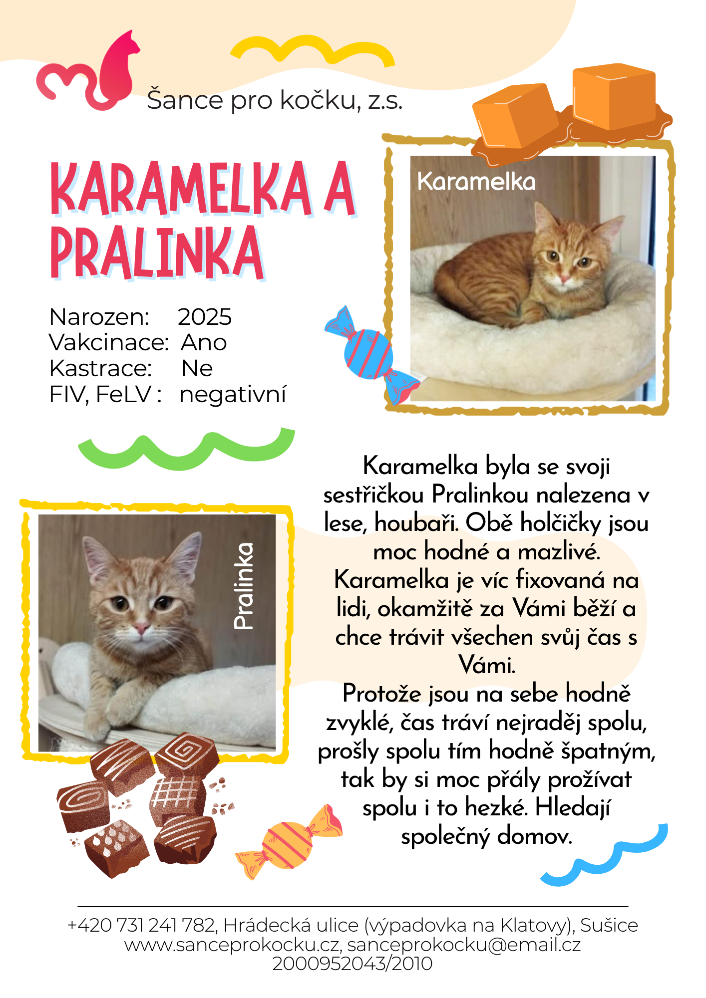 karamelka-a-pralinka.png